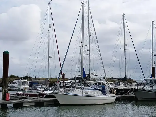 Sailfish 25