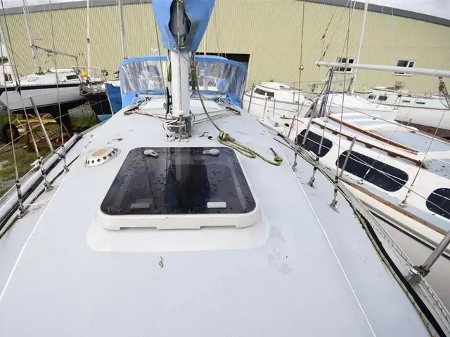 Contessa 28