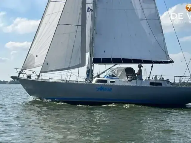 Huisman 41