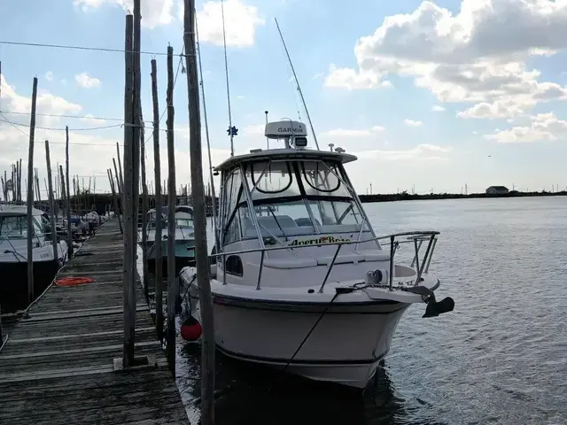 Grady-White Sailfish 282