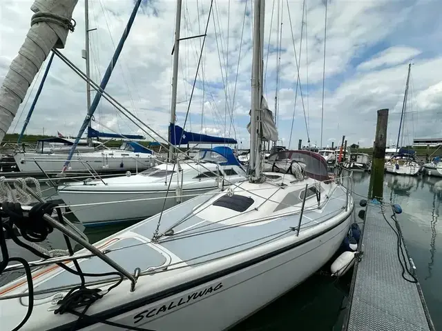 Dehler 31