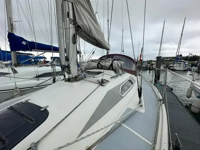 Dehler 31