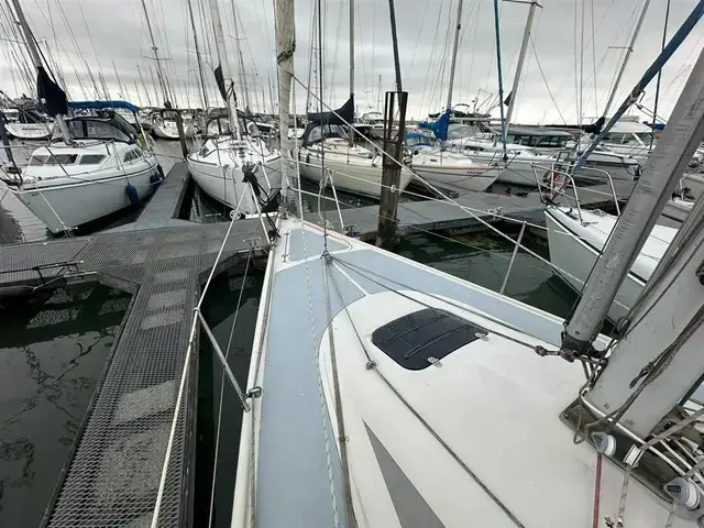 Dehler 31