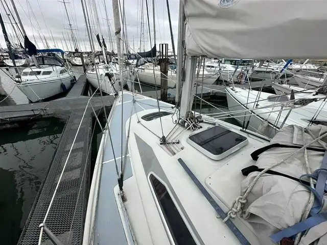 Dehler 31