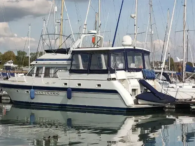 Trader 535 Signature