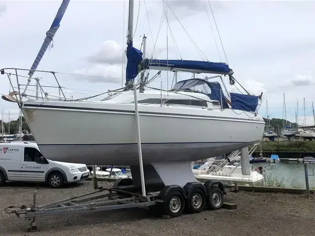 Hunter Ranger 265