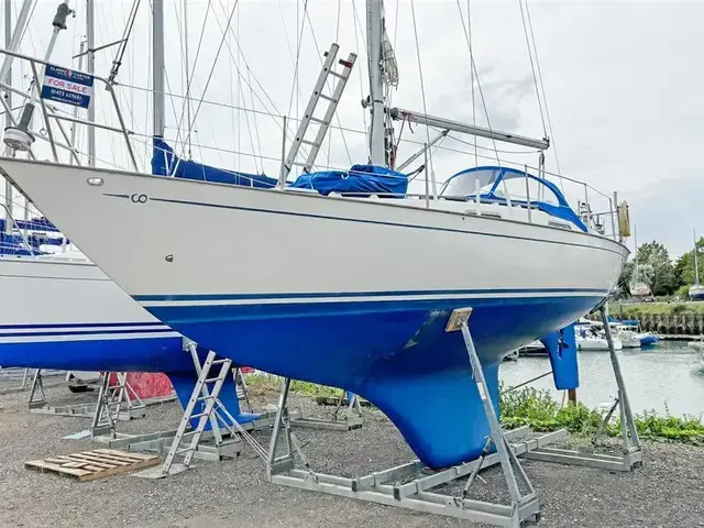 Contessa 32