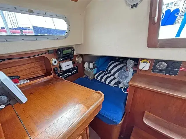 Contessa 32