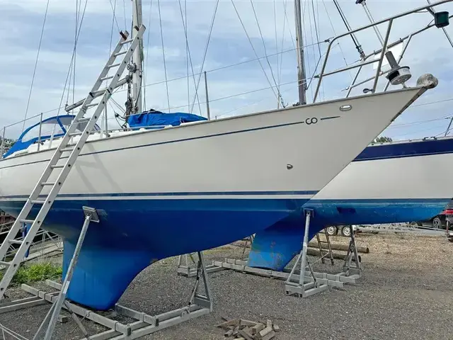 Contessa 32