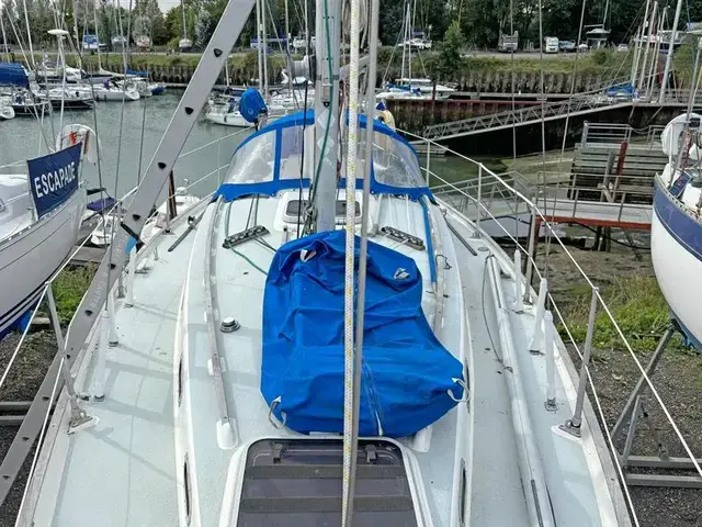 Contessa 32