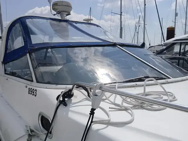 Sunline 31