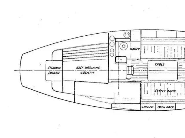 Trintella 29