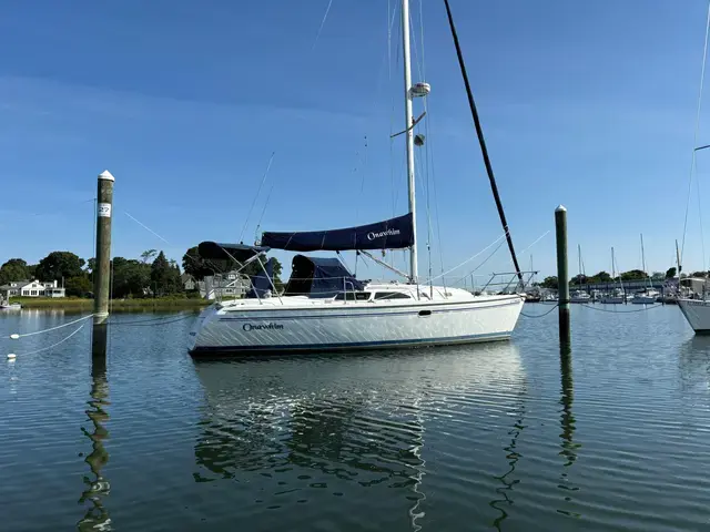 Catalina 310