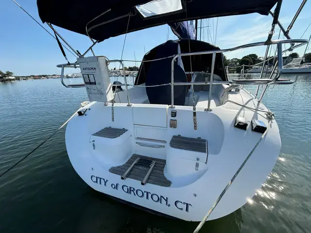 Catalina 310