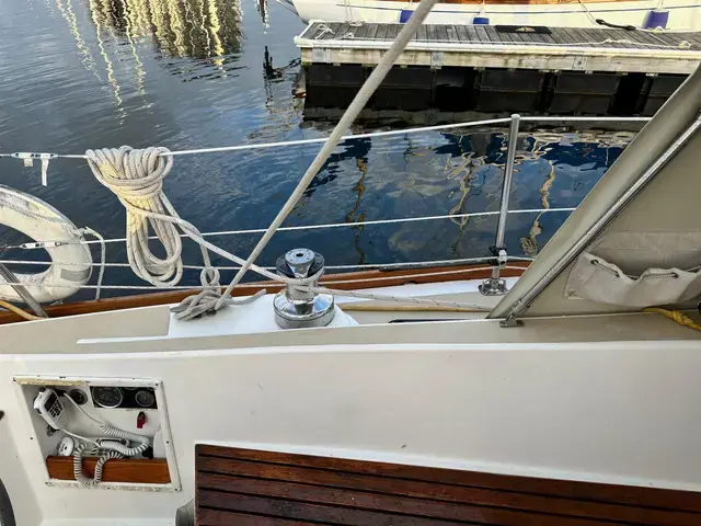 Tartan 37