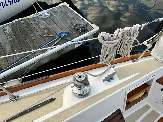 Tartan 37