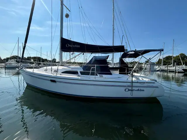 Catalina 310