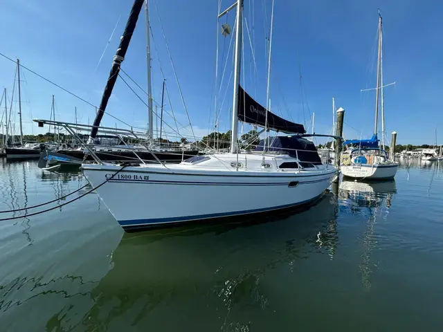 Catalina 310