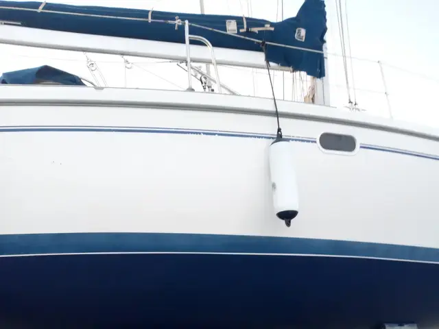 Catalina 42