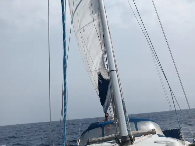 Catalina 42