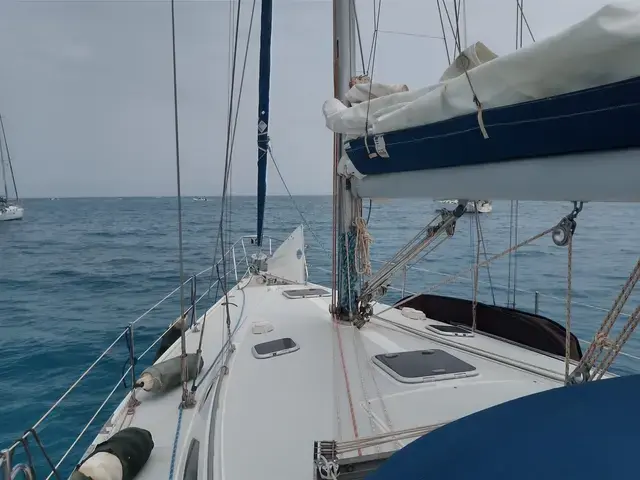 Catalina 42