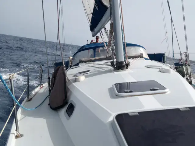 Catalina 42