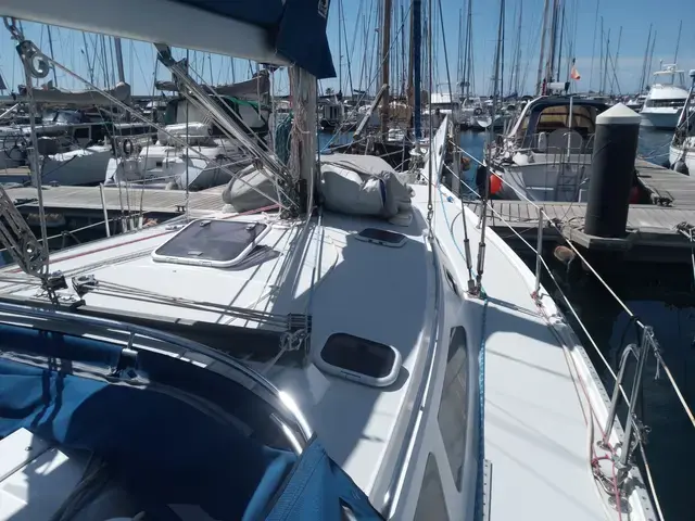 Catalina 42