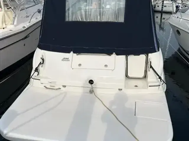 Sea Ray 315 Sundancer