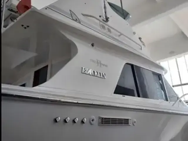 Blackfin Blackfin Flybridge Convertible