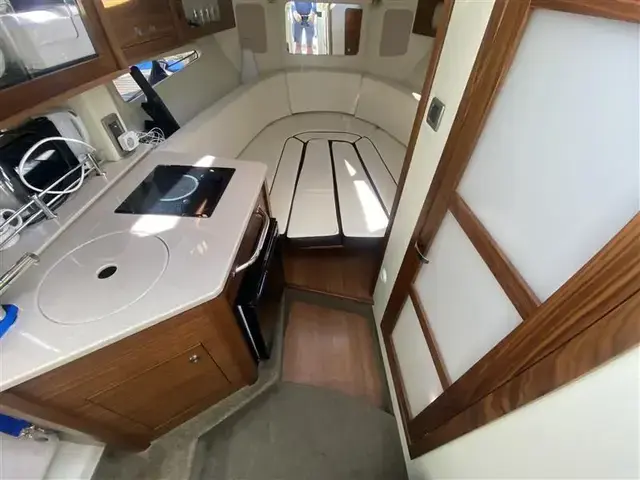 Sea Ray 265