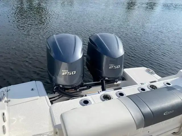 Robalo R272 Center Console