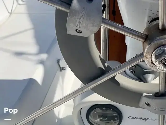 Catalina 320