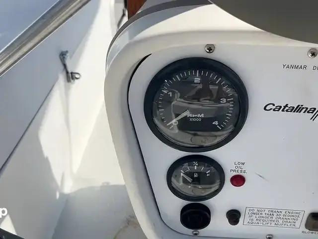 Catalina 320