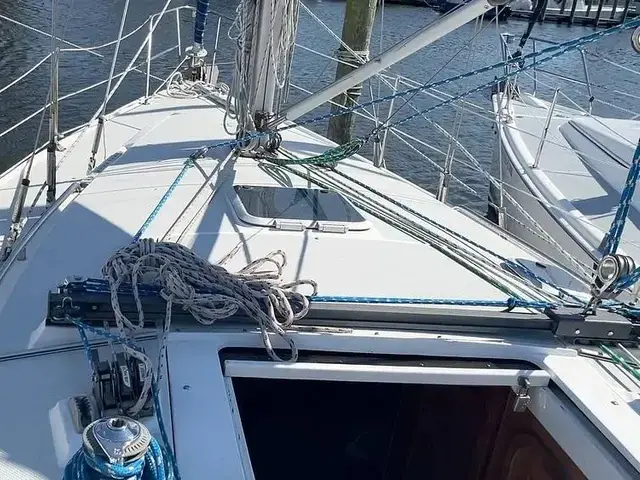 Catalina 320