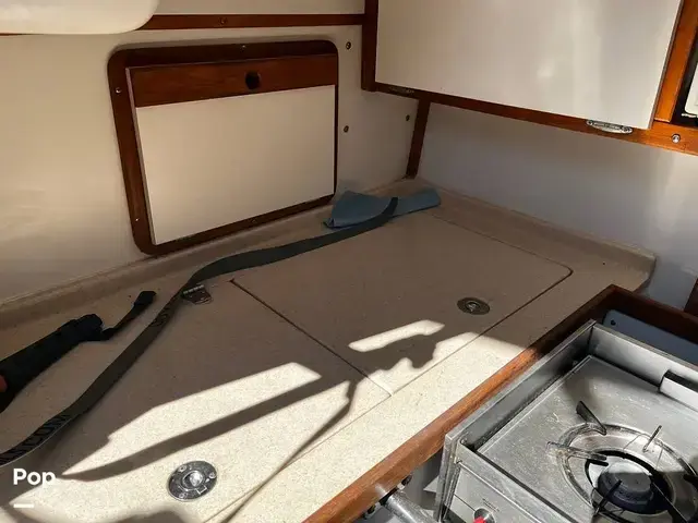 Catalina 320