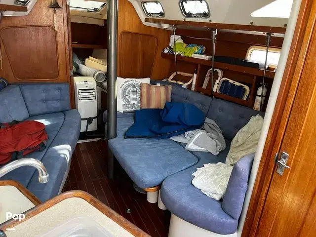 Catalina 320