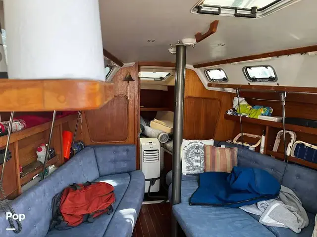 Catalina 320