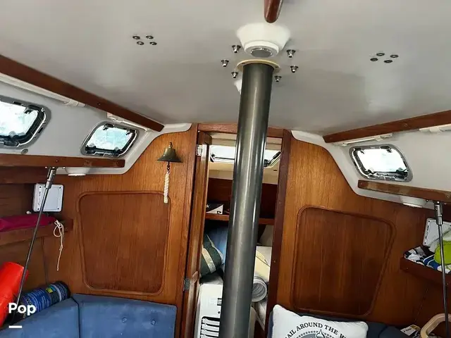 Catalina 320