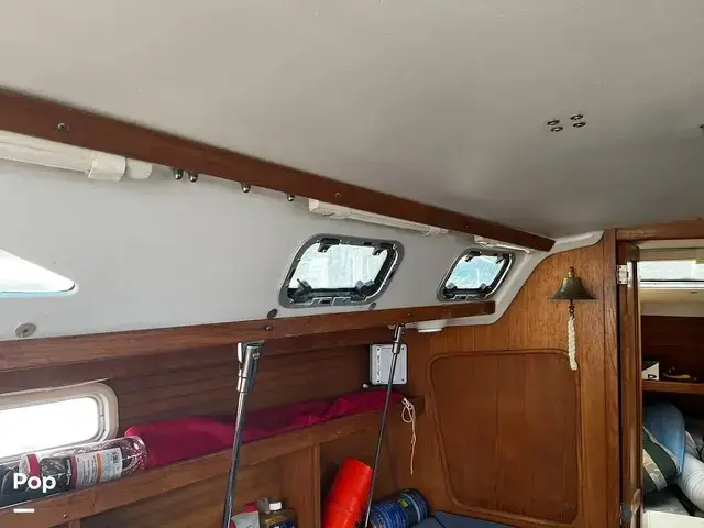 Catalina 320