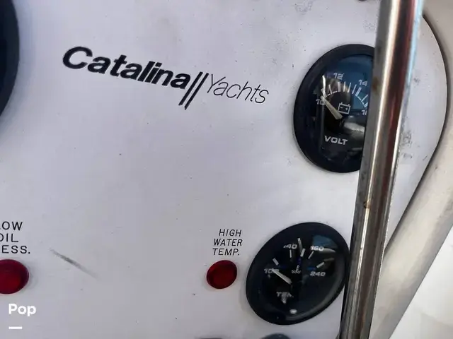 Catalina 320