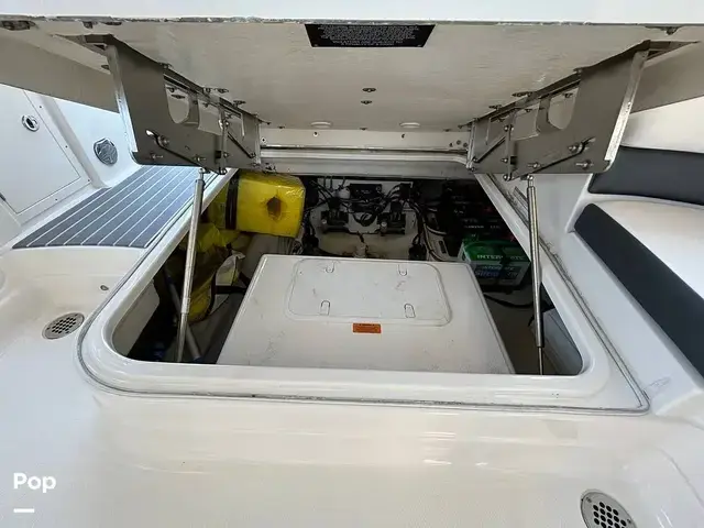 Chaparral 280 Osx