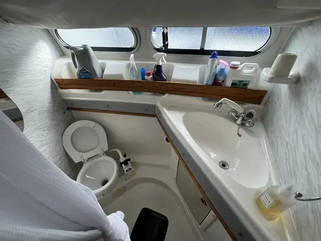 Sealine 320 Statesman