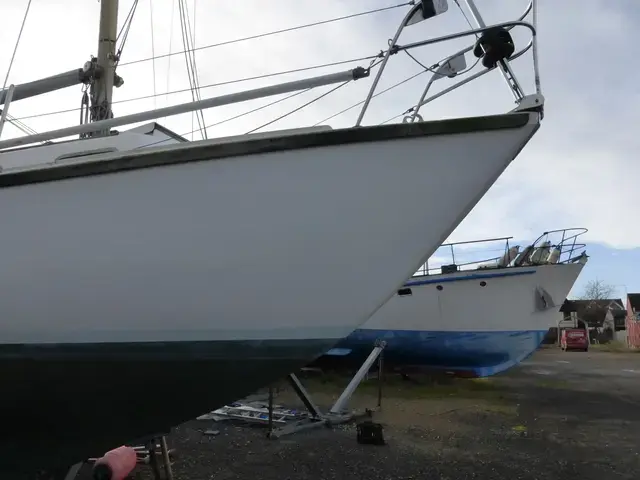 ELIZABETHAN 31 Ketch