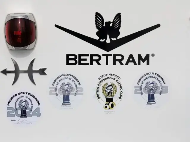 Bertram 31 Competition