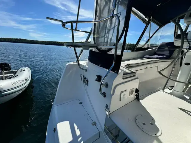 Hunter 36