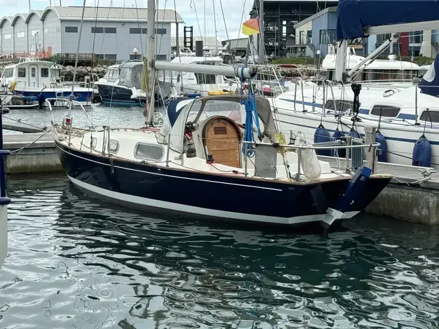 Contessa 26