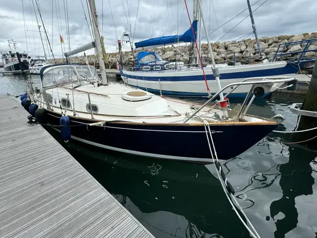 Contessa 26