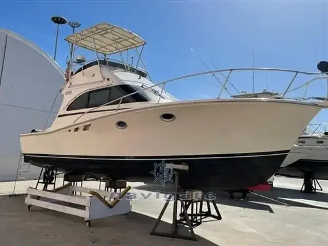 Luhrs 32 Convertible