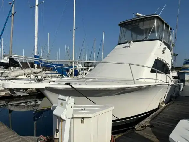 Luhrs 34 Convertible