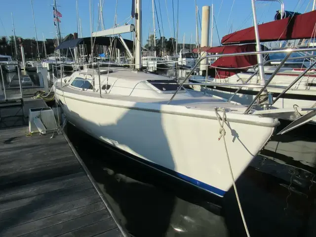 Catalina 33